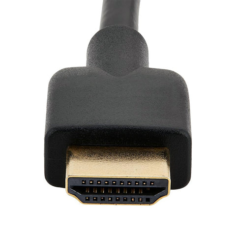 HDMI Cable (10')